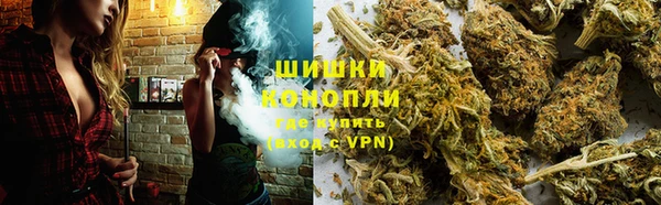 винт Костерёво